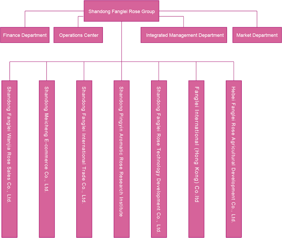 Organizational Structure(ͼ1)